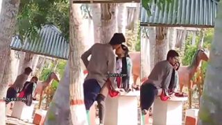 Hot Couples Lovers Fucking In Park Viral Sex Video